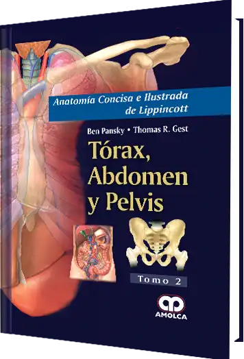 Anatomía Concisa e Ilustrada de Lippincott Tórax, Abdomen y Pelvis Tomo 2